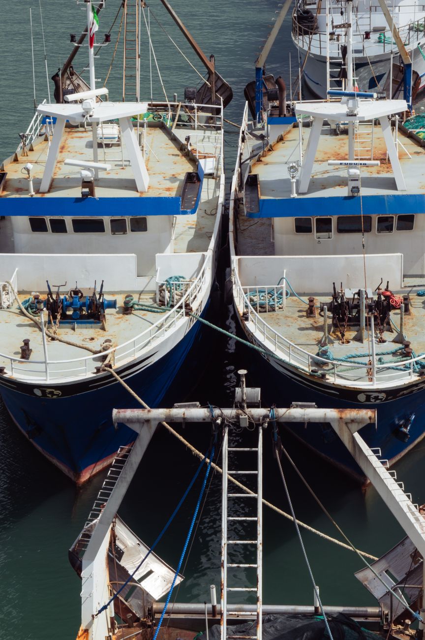 Aisa Group se diversifica hacia pesca con adquisición&nbsp;madrynense