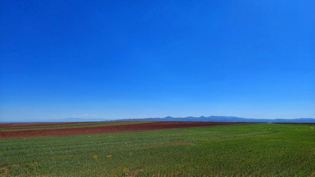De la dicotomia al analisis: repensando los debates sobre el&nbsp;campo