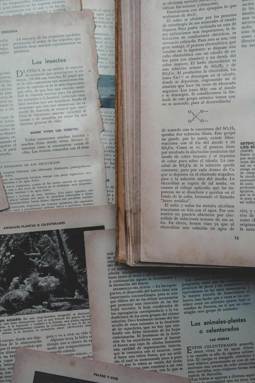 Mecanismos de adaptación en parejas: el análisis de un experto en&nbsp;psicología