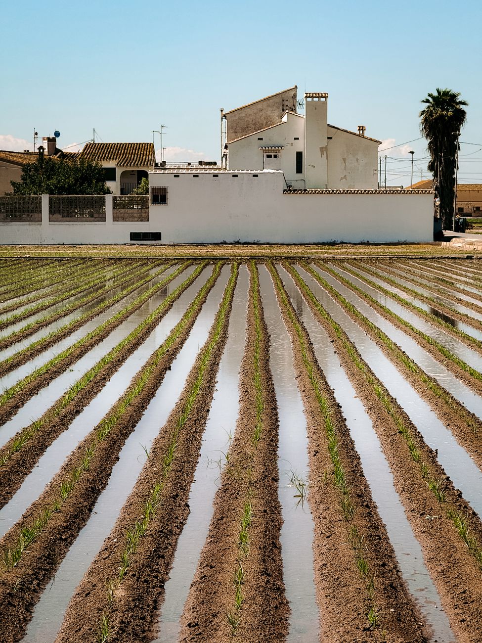 Tormentas y calor extremo redefinirán ciclos&nbsp;agrícolas