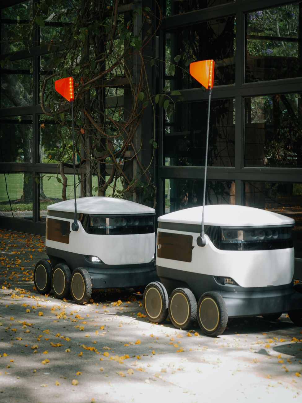 Robot capaz de llevar humanos: la creación mecanica de&nbsp;Bruton