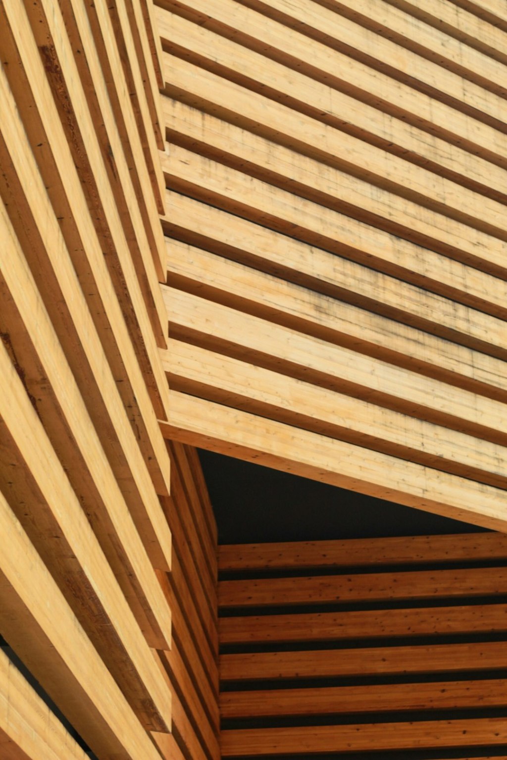 Tecnologia constructiva de madera: US$ 20 millones para planta en&nbsp;Corrientes