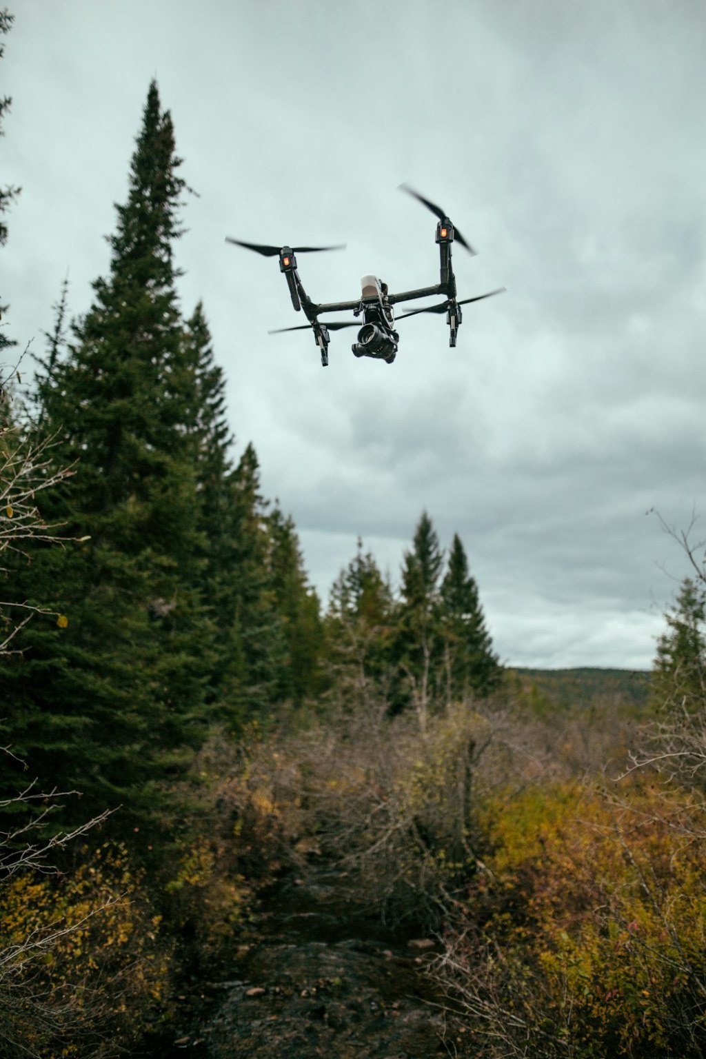 Innovación en el rodeo: tecnologías que definen la ganadería del&nbsp;futuro