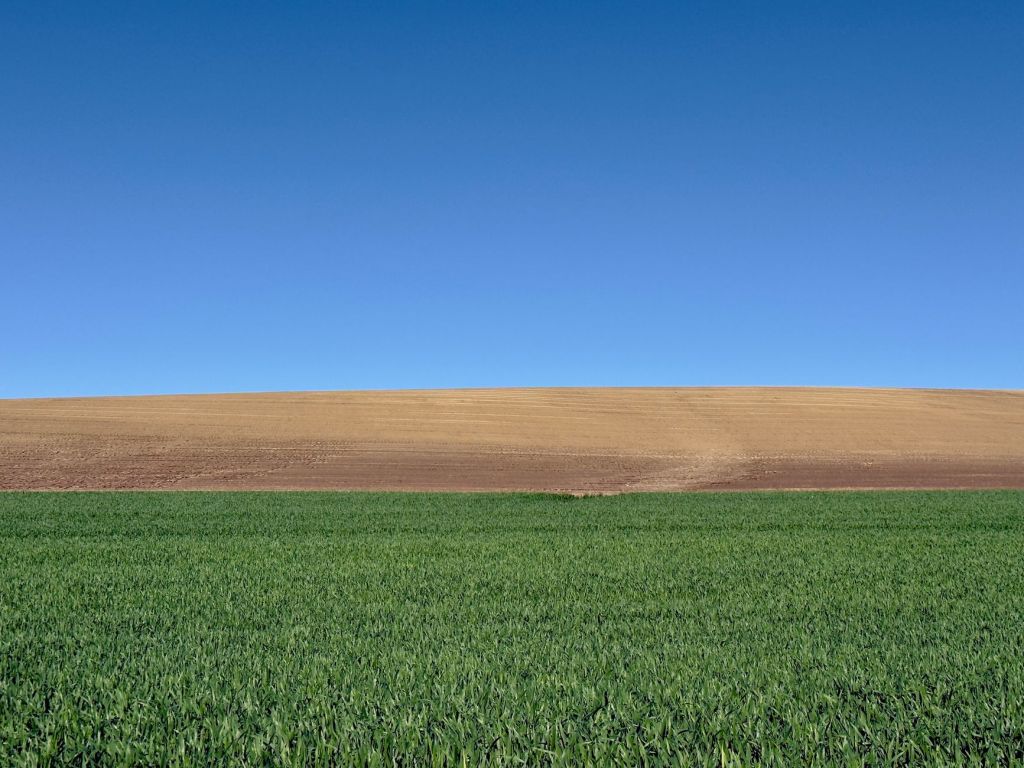 De pedir prestado un tractor a liderar un imperio agroindustrial