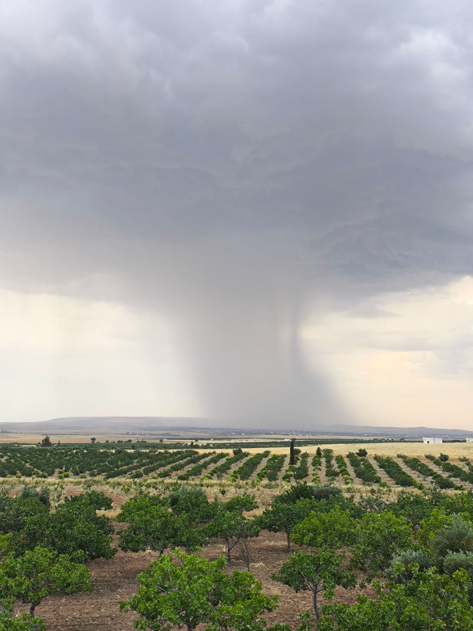 Alerta meteorologica: vientos de hasta 100 km/h en once&nbsp;provincias